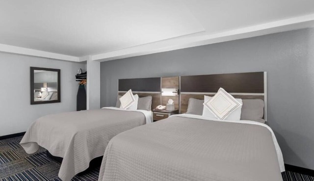 Cape Cod Charm on a Budget – 2 Pet-friendly Rooms Near Beach, Ferry & Dining