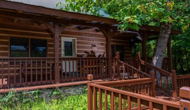 Carries Cabin-ultimate privacy on 30 acres