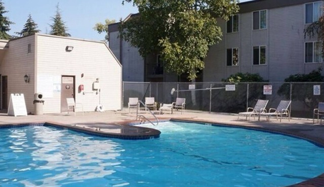 Charming Cozy Microsoft Bellevue Condo - 1 Bedroom