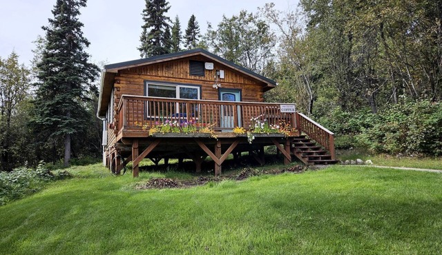 Charming Log Cabin Rental in the Heart of Wrangell-St. Elias National Park and Preserve in Alaska