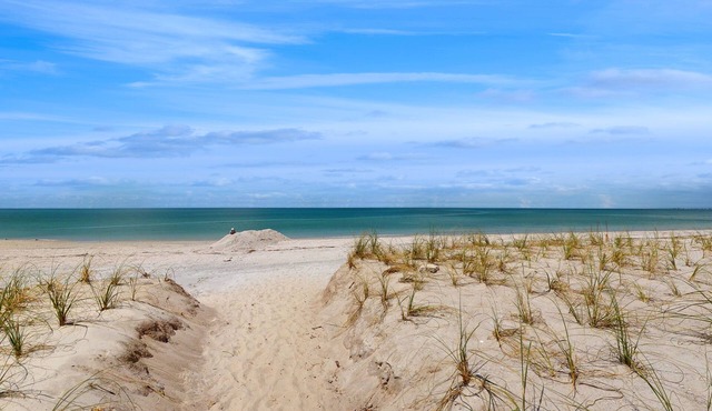 Coastal dog-friendly condo with observation deck, best Gulf sunset views