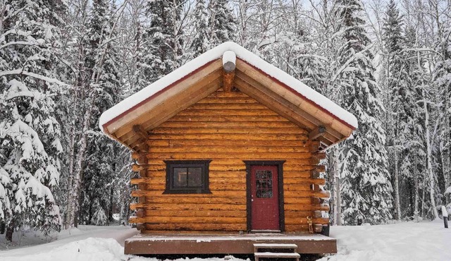 Cozy Rustic Cabin w/Running Water & Shared Sauna