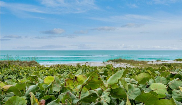 Direct Oceanfront Luxury Beach house