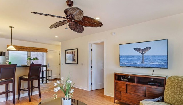 *Front Street* 2 block -Lahaina 2bd/2ba Aina Nalu