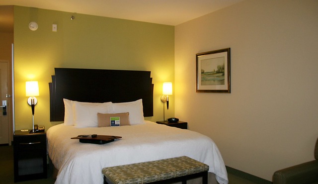Hampton Inn Alpine