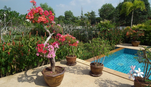House and pool facing the ocean, golf 2 km away, breakfast and cleaning included