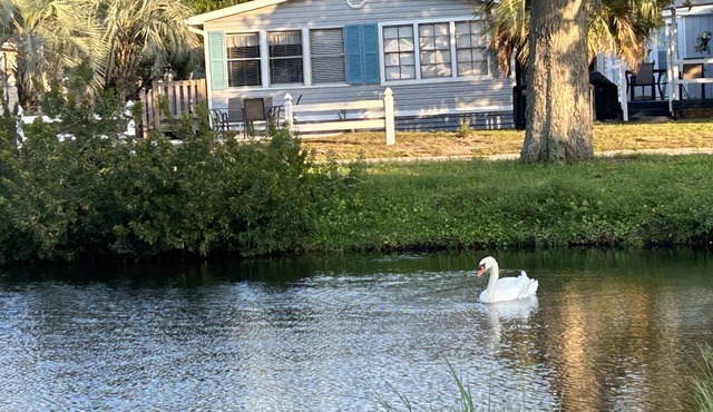 Immaculate 3Bed 2Bath OSV Gem Walk to Beach Pools Hottub Outdoor shower Golfcart