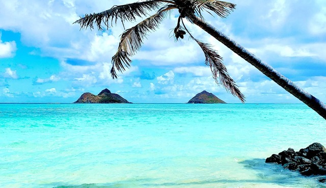 Kailua Beach Lofty Bungalow - A premier luxury beachside bungalow