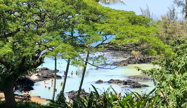 KeALOHA - INCREDIBLE views, Spectacular Beach Park, the Best snorkeling, Turtles