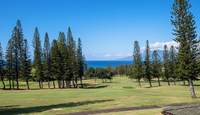 KGV 27T5 Fabulous 1BD Oceanview Villa