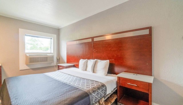 King Bed|Non-Smoking