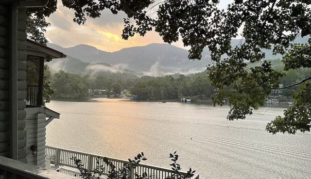 Lake Lure cottage with pontoon boat!