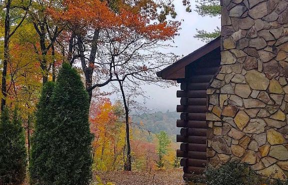 Log Cabin