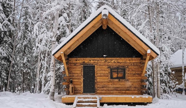 Modern Rustic Cabin w/Running Water & Shared Sauna
