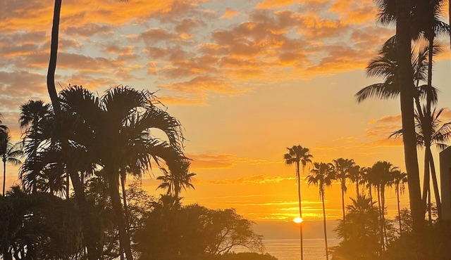 Newly Renovated Kihei Condo with Sunset Views – Steps From a Beautiful Beach!