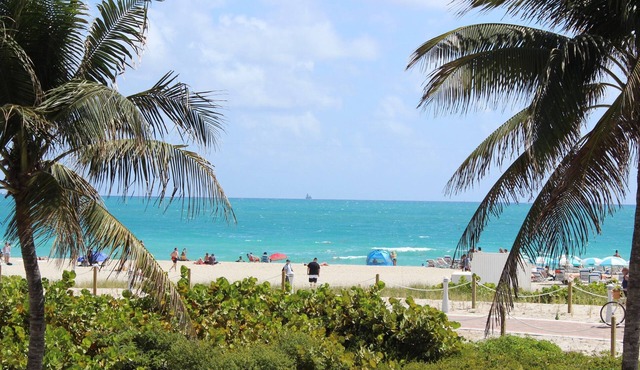 On Beach - 3rd/Ocean - Direct Ocean View and Access - Pool