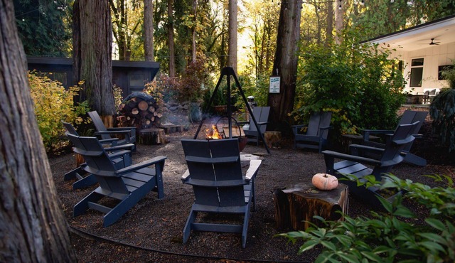 Panoramic Riverside and Lush Forests Views, Pet Friendly, New Décor, Steps Away From Dockside