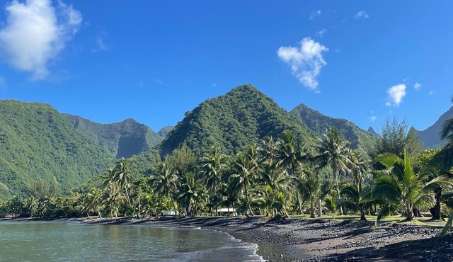Pension Terehaunui Teahupoo