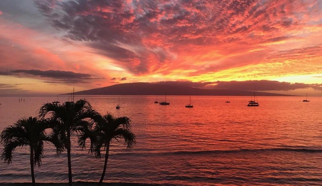 Perfect location & Unbelievable Views at Lahaina Roads