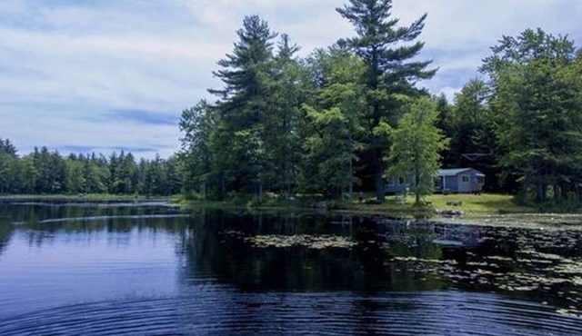 Pet-friendly peaceful pond home near Keene, Rindge, & Mt Monadnock Max 3 people.