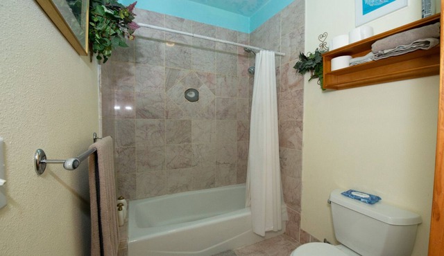 Private bedroom bath suite in large home, co-op kitchen Den Dog Ok