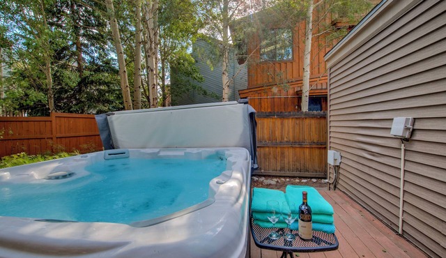 Private Jacuzzi, Single Family Home 2 blocks to Center Downtown, Family Friendly