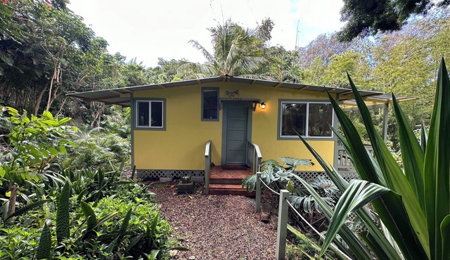 Quiet eco-friendly studio nestled in Bamboo grove minutes from Hawi town