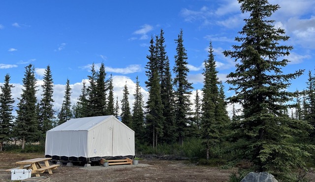 Rustic Alaskan Wall Tent at Stump Creek B&B