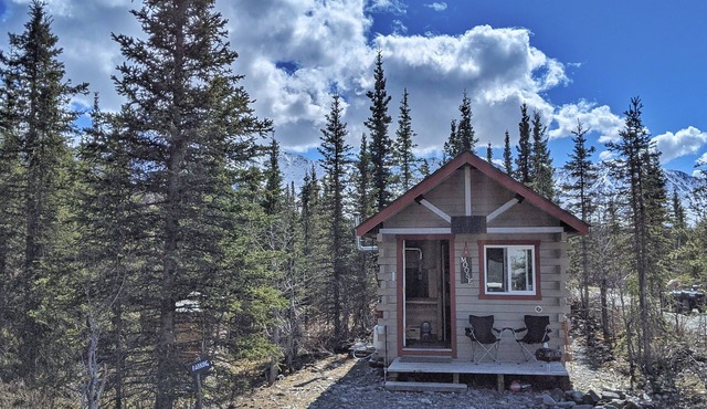 Rustic Moose Cabin Getaway - Glamping