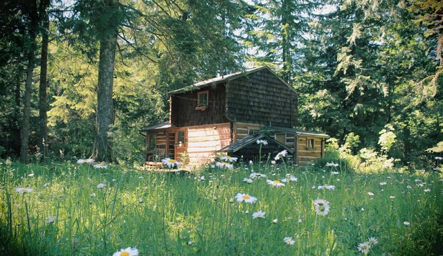 Rustic Riverfront Cabin in Mt. Hood- Hiking, Skiing, and Outdoor Adventures in Rhododendron