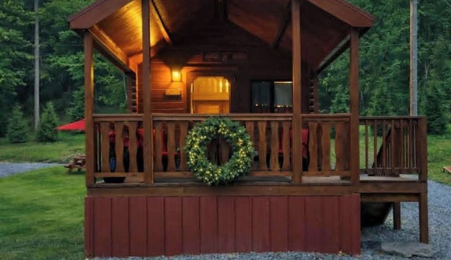 Rustic Tiny Cabin retreat with AC