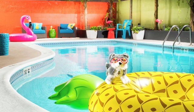 Seattle Stay w/Tropical Decor | Pool Access & Pet-friendly