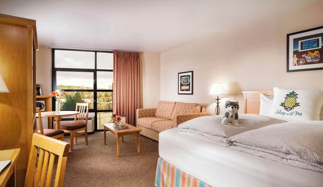 Spacious Junior Suite w/Pool in Vibrant University District | Free Parking