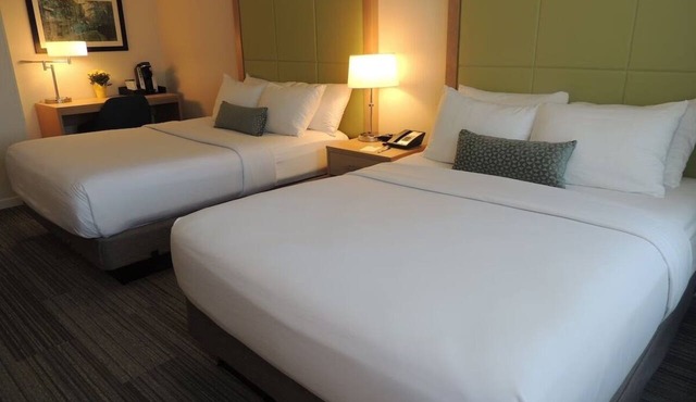 Spacious Suite with On-Site Dining in Medical Hub - Near Harvard Medical School