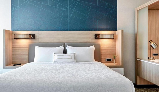 SpringHill Suites by Marriott Braselton