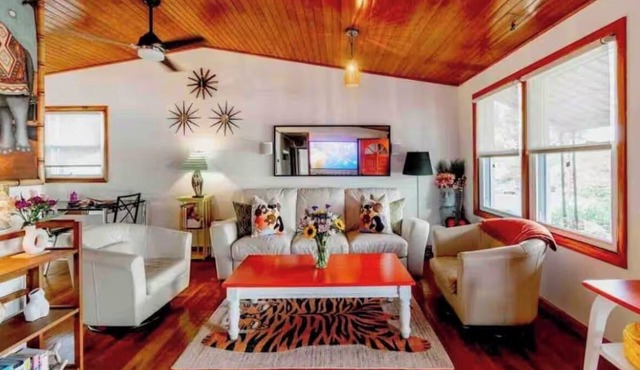 Sunny cheerful house in downtown Belmont