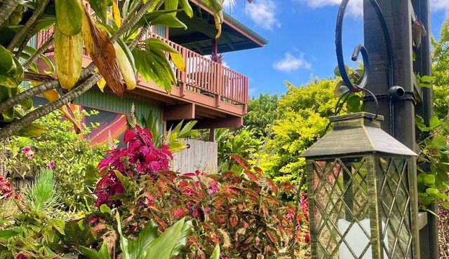 Sunrise Sanctuary, Spacious, Beautiful, Tranquil Living, Green Sands Beach