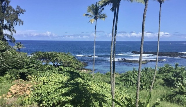 Swim with the turtles and watch the whales! S-l-o-w down and R E L A X.