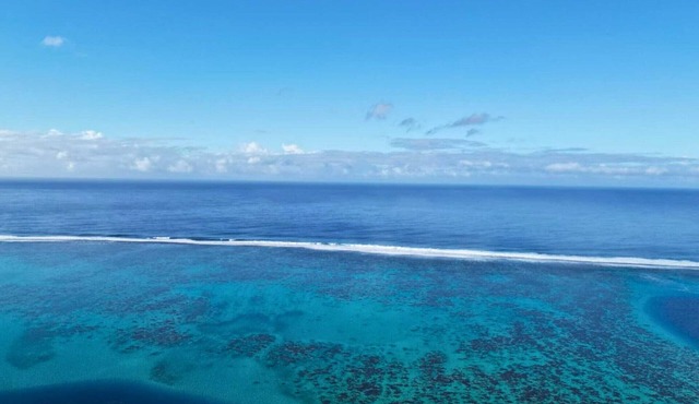 TAHITI - Studio Tiamao Manini