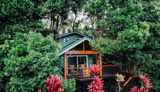 The Treehouse at Hulili Farm - NEW