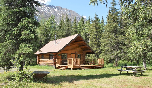 Upper Paradise Log Cabin - Nightly Rental in the Woods