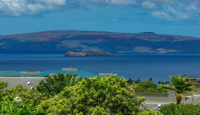 Wailea Ekolu #503 Panoramic Ocean View, Great Location near Ulua Beach, Wifi