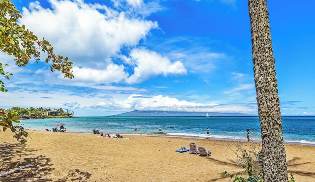 Welcoming 1-bedroom condo in Lahaina