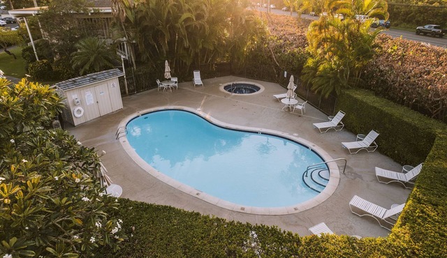Wonderful Stay! 4 Spacious Suites! Close to Beaches & Attractions | 3 Pools