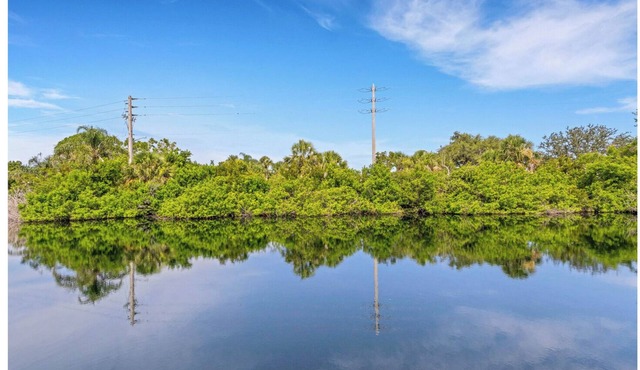 WOW! Venice, FL! RELAX with this peaceful waterview WOW! 3 month minimum!