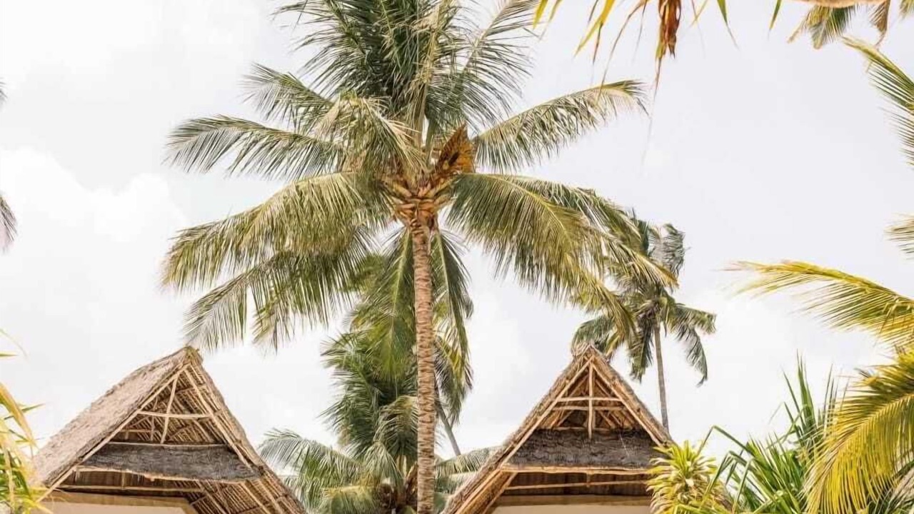 Photo of Outdoor in Matemwe