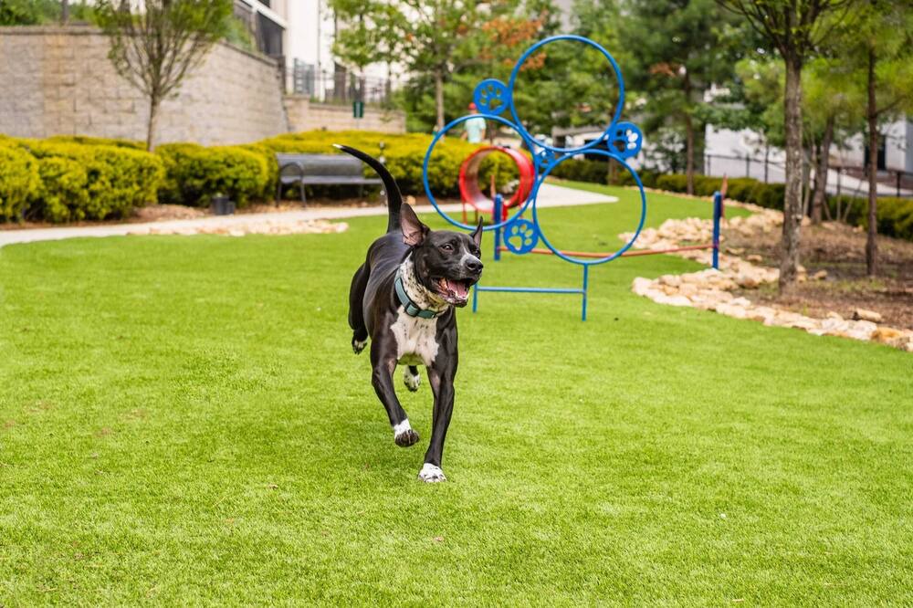 Photo of Outdoor in North Buckhead