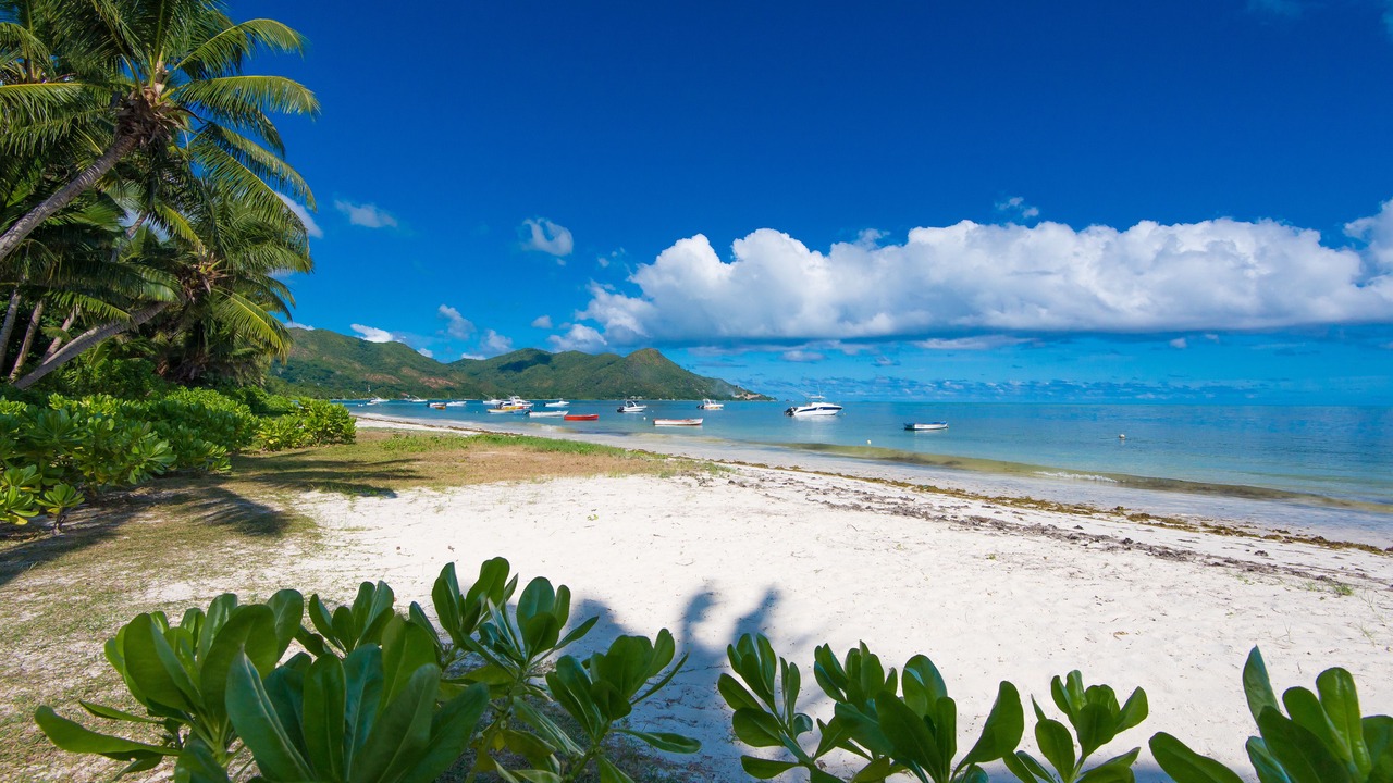 Photo of Others in Grand'Anse Praslin
