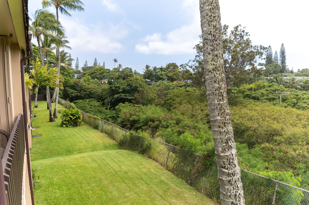 Photo of Outdoor in Napili