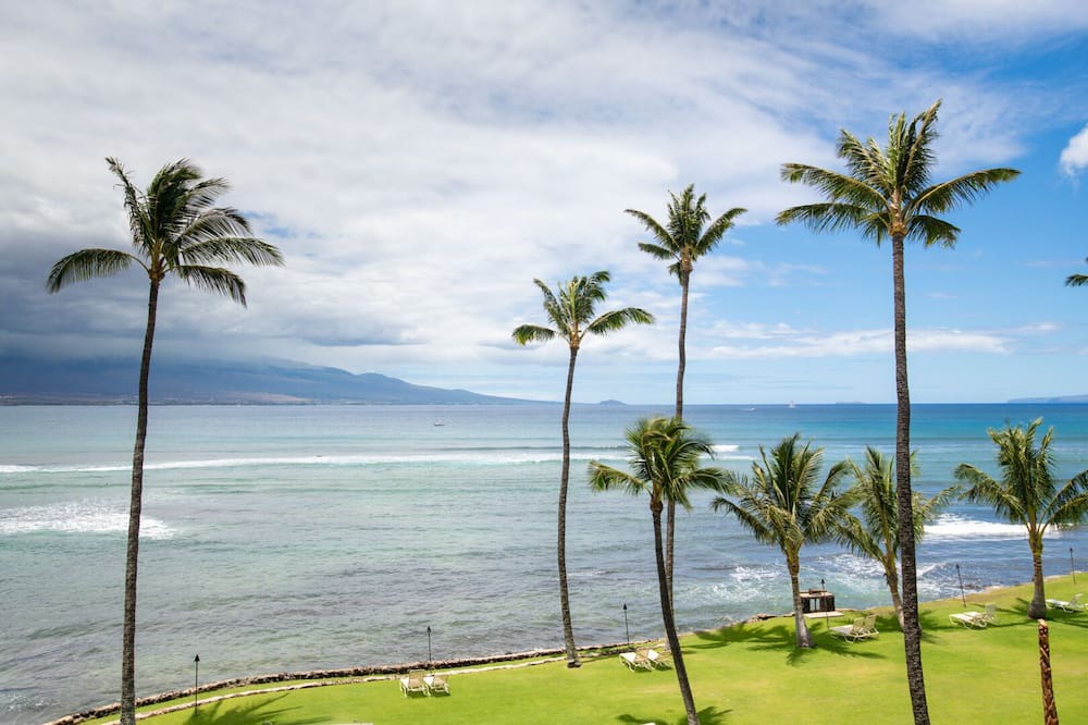 Photo of Others in Maalaea